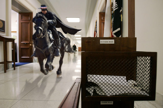 His trusty steed flies like the wind through a congressional corridor.